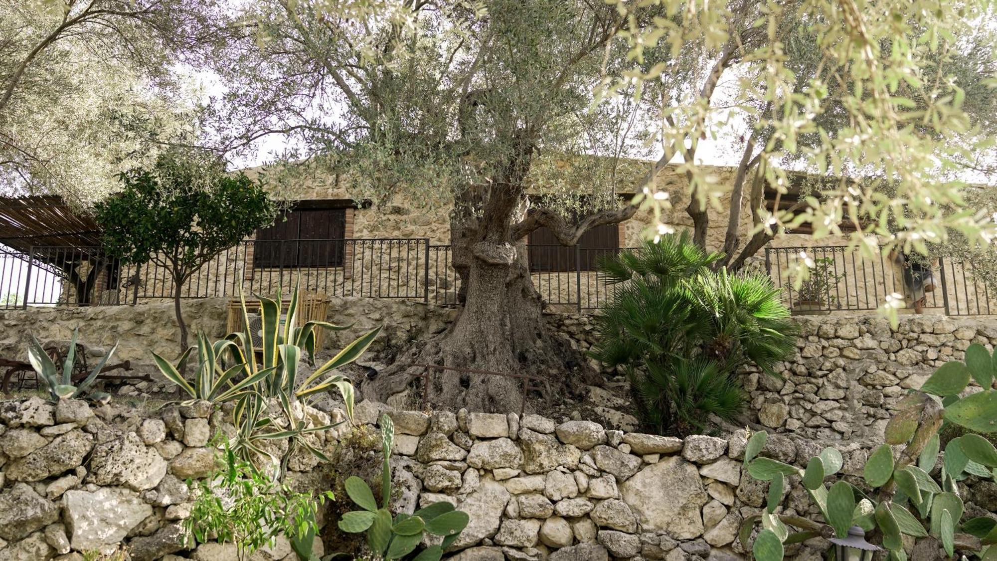 مبيت وإفطار أغريجنتو Roba Degli Ulivi المظهر الخارجي الصورة