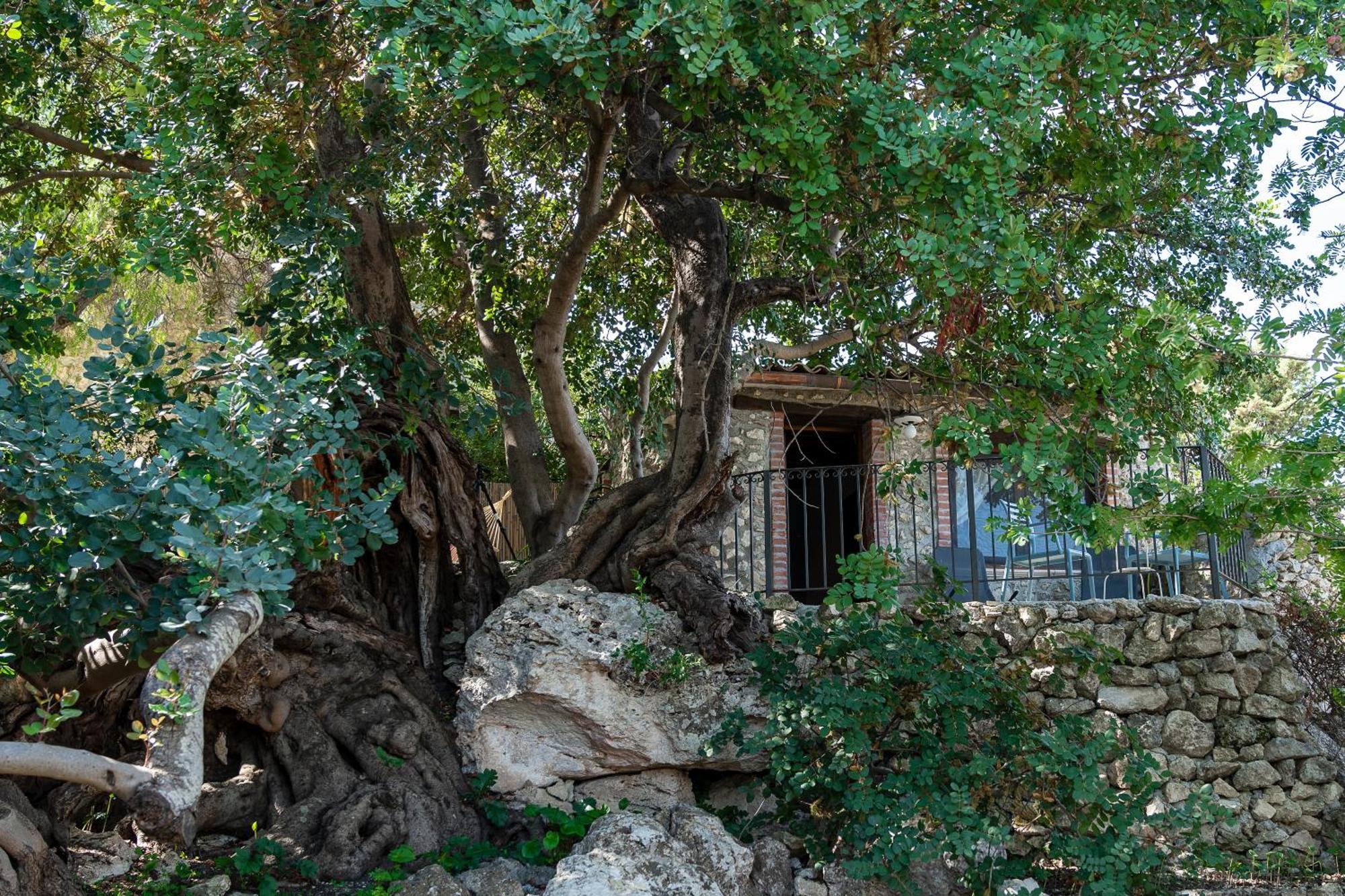 مبيت وإفطار أغريجنتو Roba Degli Ulivi المظهر الخارجي الصورة